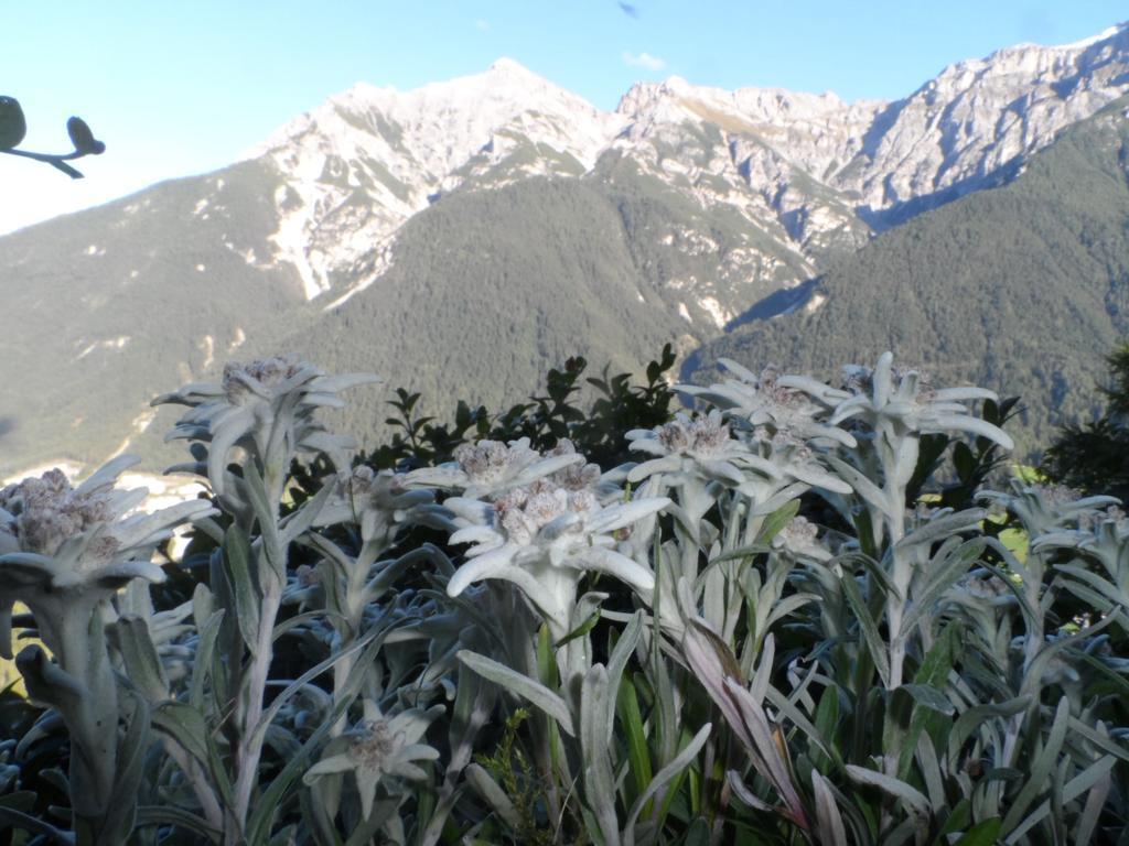 Pfurtschell * Neustift im Stubaital