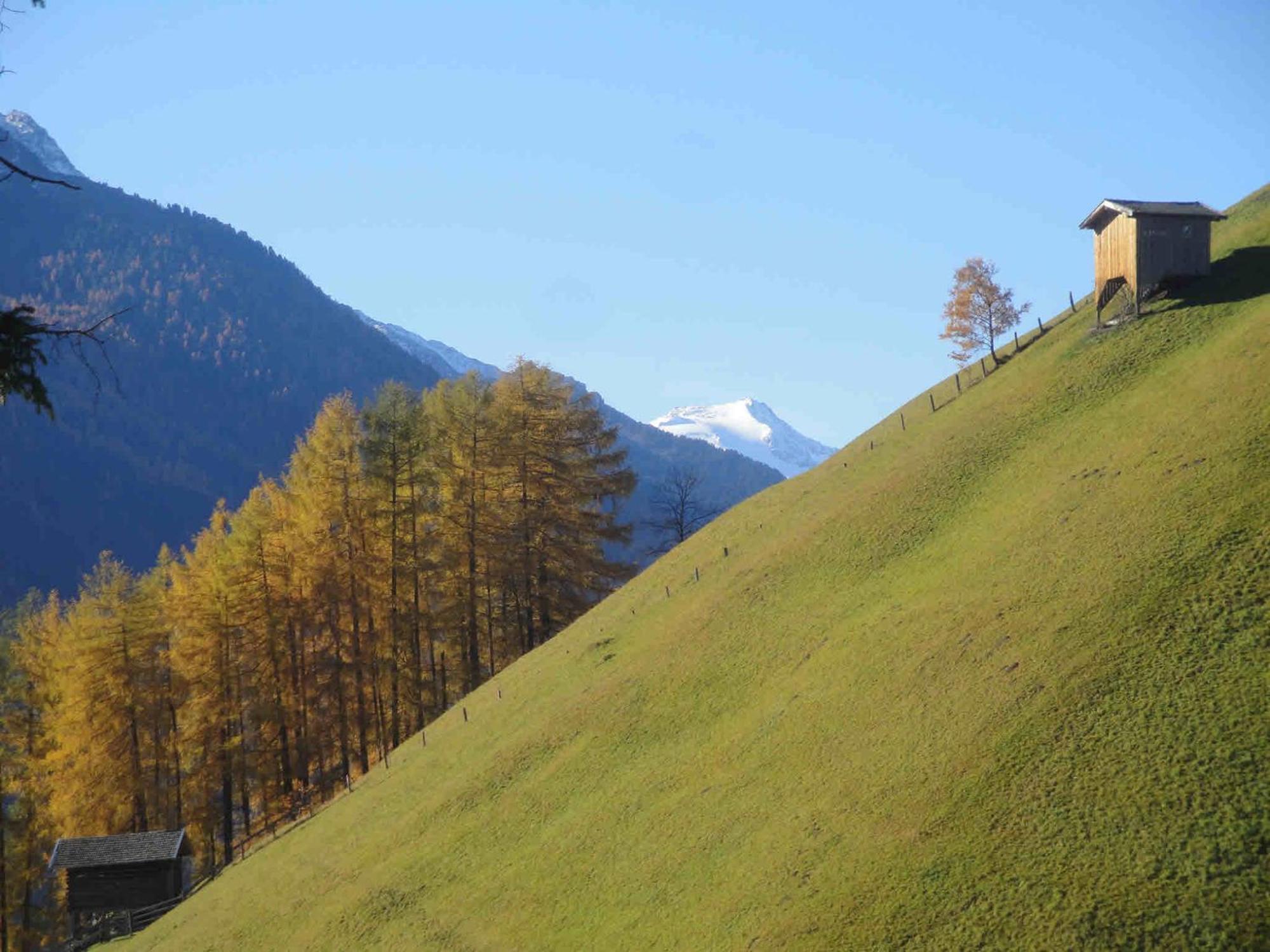 Pfurtschell Neustift im Stubaital